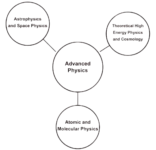 MSc program components